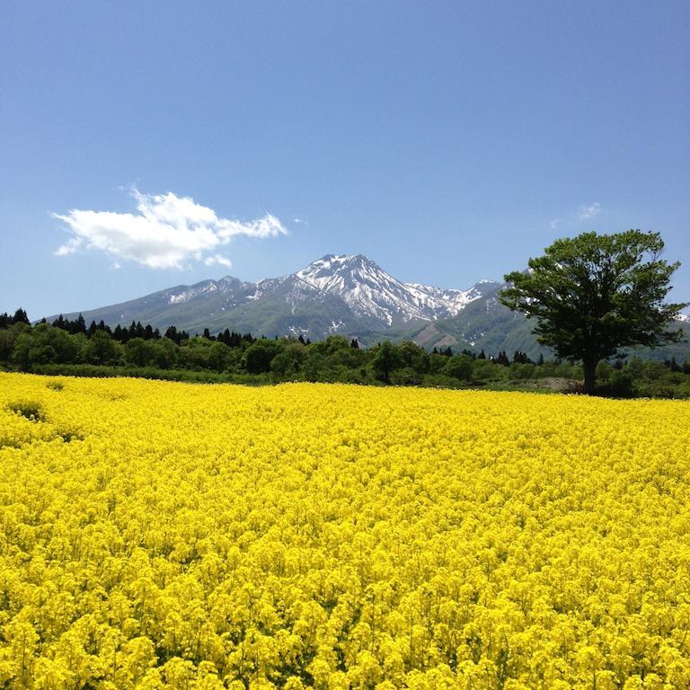 Hotel Alpen Blick Myoko Exterior foto